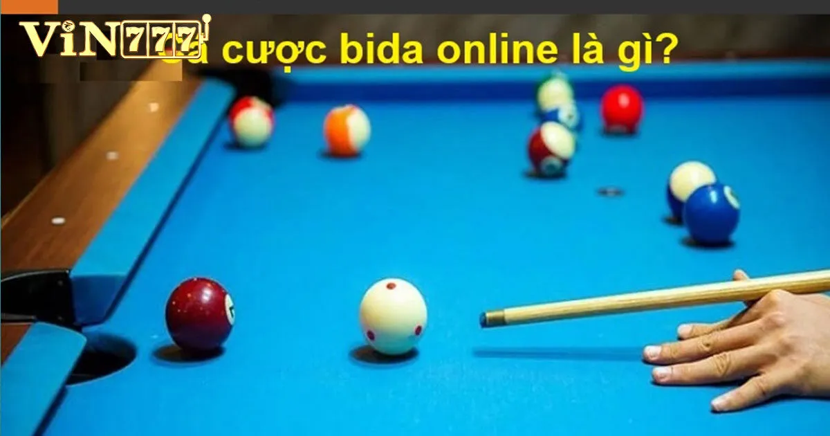 Cá cược bida là gì?