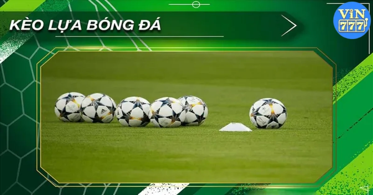 Giới thiệu về kèo lựa Vin777